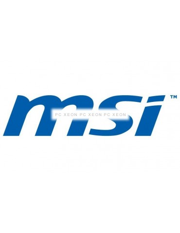 msi-logo.png
