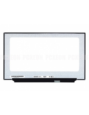 Schermo a LED 17.3'' Auo...