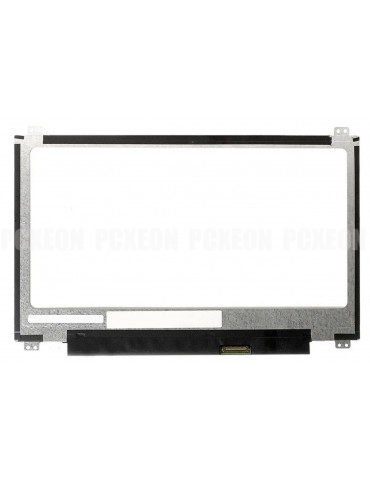 Schermo a LED 15.6'' HP 255...