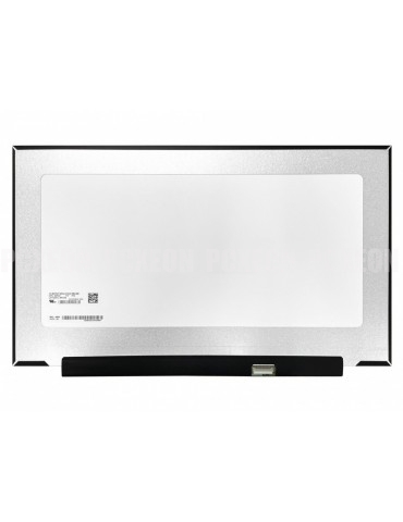 Schermo a LED 17.3 " LG...
