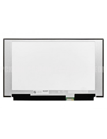 Schermo LCD 15.6" MSI Ge66...