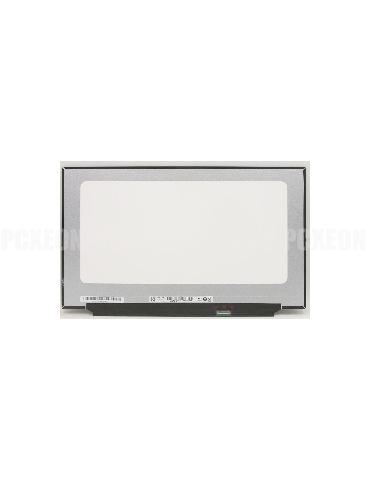 Pantalla LED 17.3'' AUO...